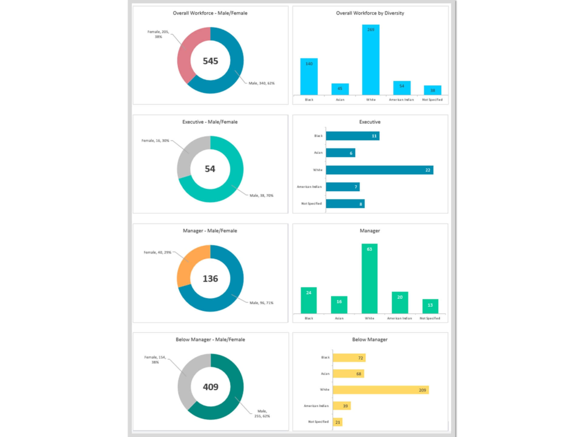 A workforce diversity dashboard created by Biz Infograph