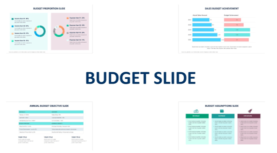 Cover of budget slides from Biz Infograph
