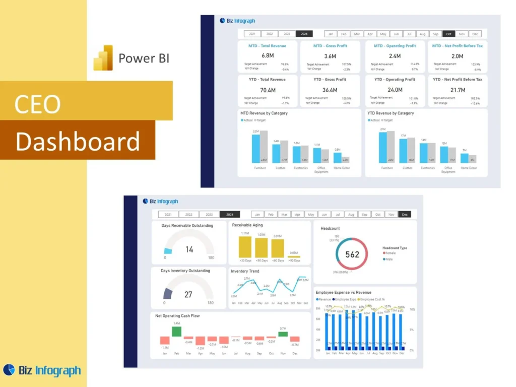 CEO Dashboard Power BI