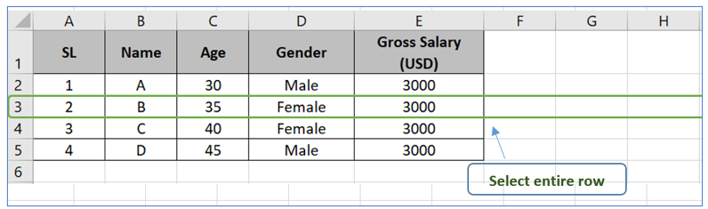 Insert Row in Excel