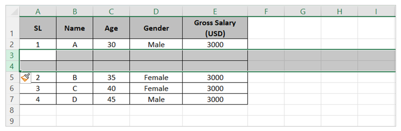 Insert Row in Excel