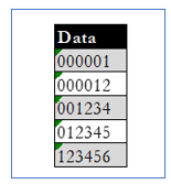 Leading Zero