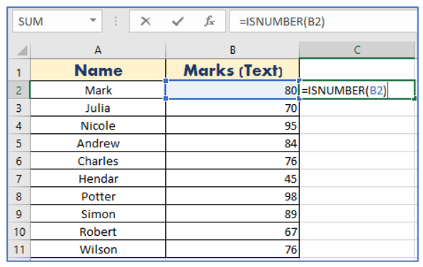 Check Cell Data is Text or Number