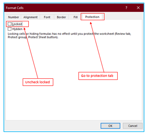 Lock Hide cells and Protect work sheet