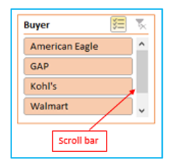 Slicers in Pivot Table