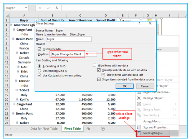 Insert Slicers in Pivot Table