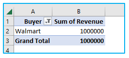 Filter Data in Pivot Table in Excel