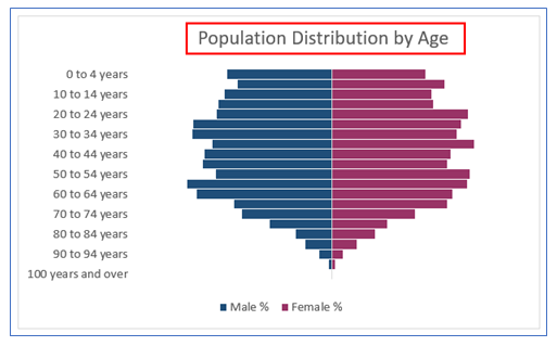 How to Create Population Pyramid Chart in Excel? - Resource