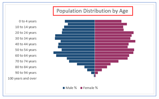 Population Pyramid Chart