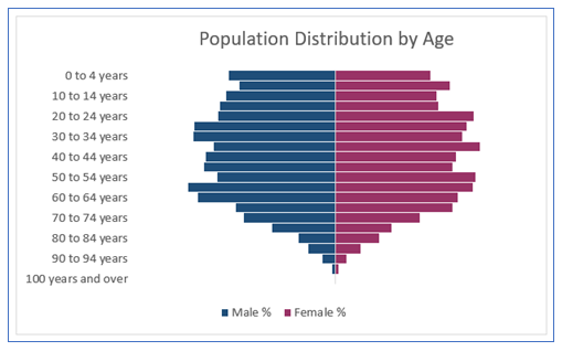 Population Pyramid Chart