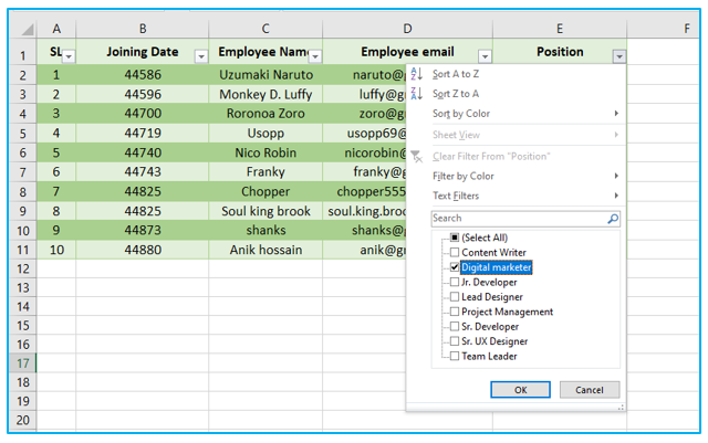 Every Other Row in Excel