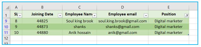 Every Other Row in Excel