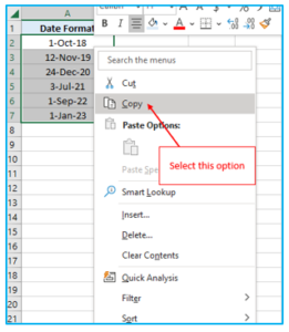 Using TEXT Function in Excel to convert Date to Text - Biz Infograph
