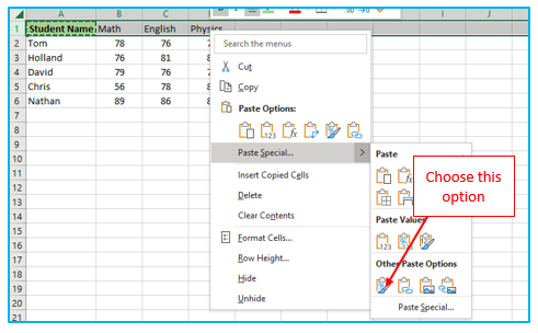 Format Painter in Excel