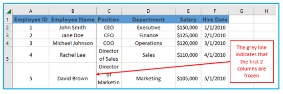 Freeze Rows and Columns in Excel