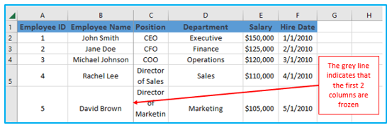 Freeze rows and columns