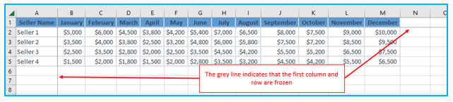 Freeze Rows and Columns in Excel