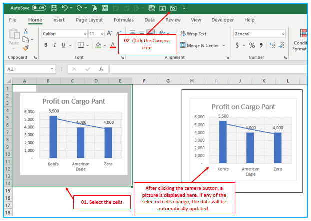 Excel Camera Tool