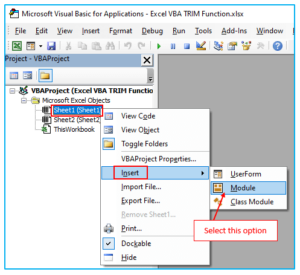 How to use Excel VBA TRIM Function?