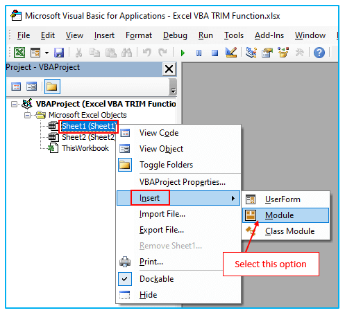 Excel VBA TRIM Function