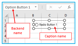 Insert and Use a Radio Button