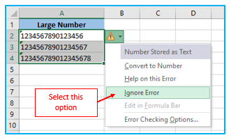 Stop Excel from Rounding Numbers