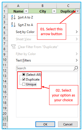 Duplicates Value in Excel