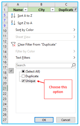 Duplicates Value in Excel