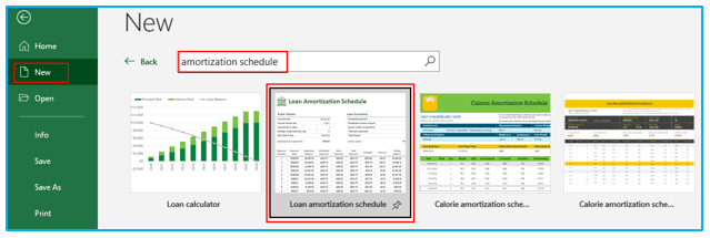 Prepare Loan Amortization Schedule