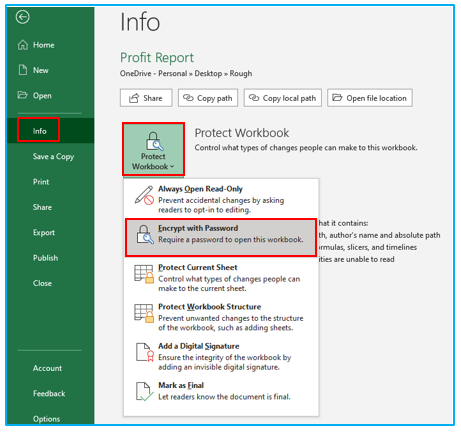 Protect Excel File