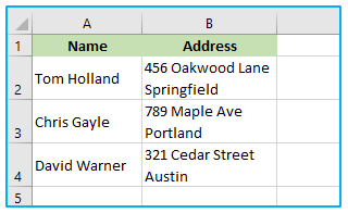 Remove Space in Excel