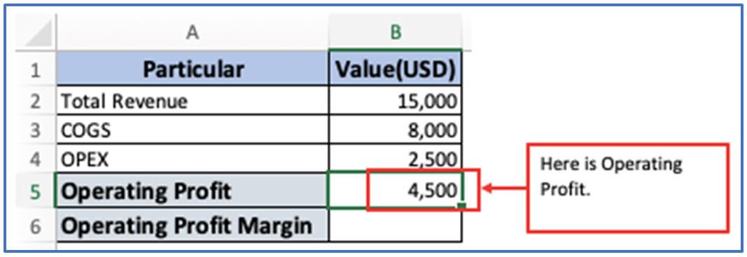 Profit Margin