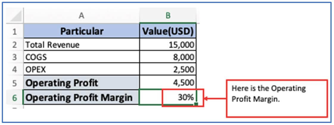 Profit Margin